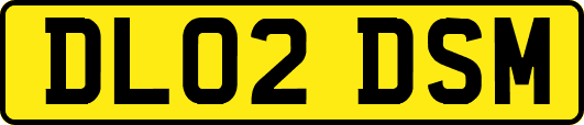 DL02DSM