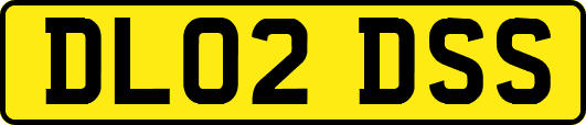 DL02DSS