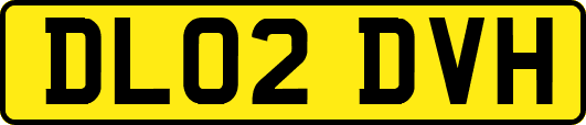 DL02DVH