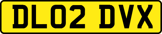 DL02DVX
