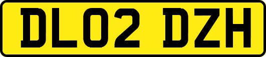 DL02DZH