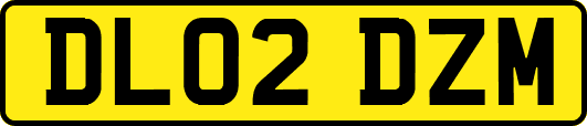 DL02DZM