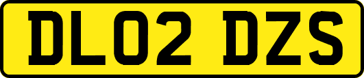 DL02DZS