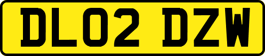 DL02DZW