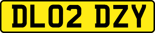 DL02DZY