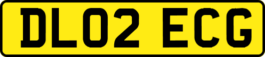 DL02ECG
