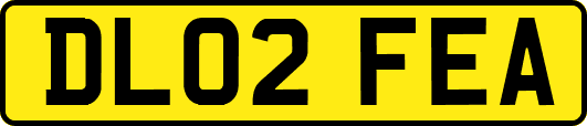DL02FEA