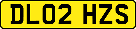 DL02HZS