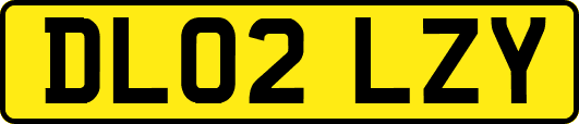 DL02LZY