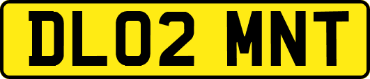 DL02MNT