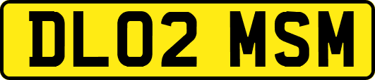 DL02MSM