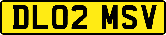 DL02MSV