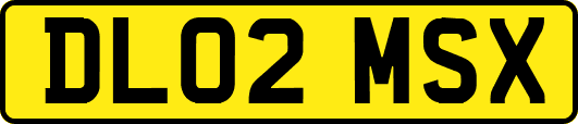 DL02MSX