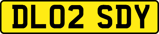 DL02SDY