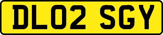 DL02SGY