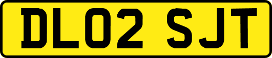 DL02SJT