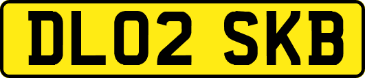 DL02SKB