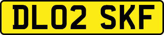 DL02SKF