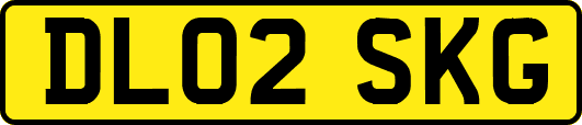 DL02SKG