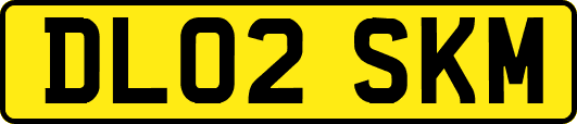 DL02SKM