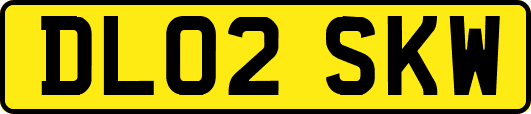 DL02SKW