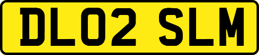 DL02SLM