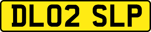 DL02SLP