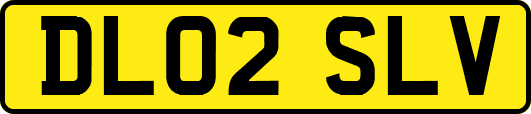 DL02SLV