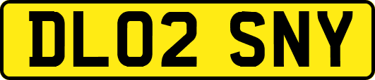 DL02SNY