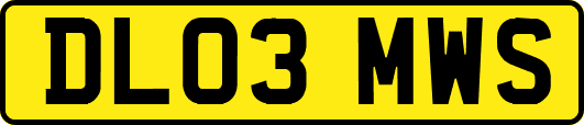 DL03MWS