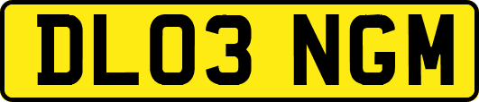 DL03NGM