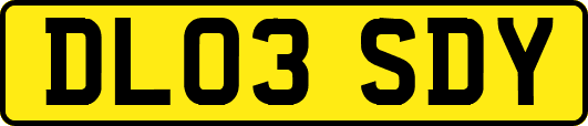 DL03SDY