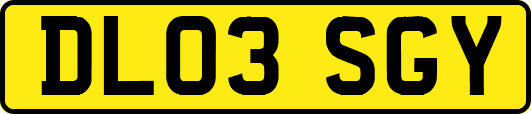 DL03SGY