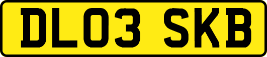 DL03SKB
