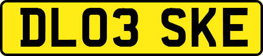 DL03SKE