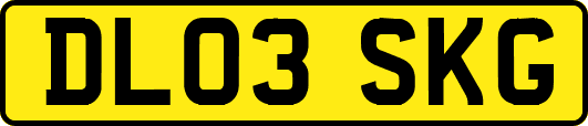 DL03SKG