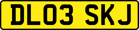 DL03SKJ