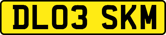 DL03SKM