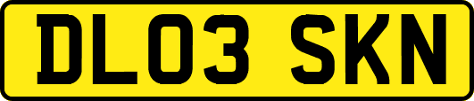 DL03SKN