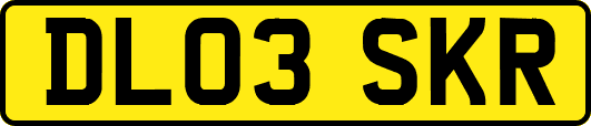 DL03SKR