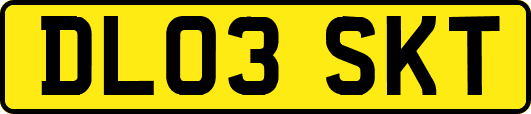 DL03SKT