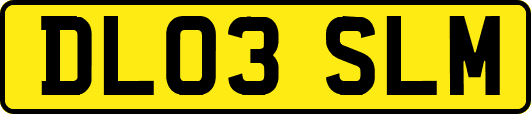 DL03SLM