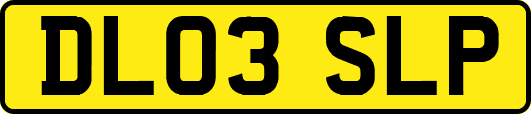 DL03SLP