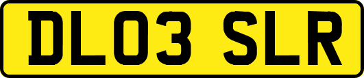DL03SLR