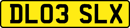 DL03SLX