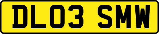 DL03SMW