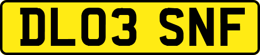 DL03SNF