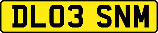 DL03SNM