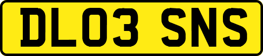 DL03SNS