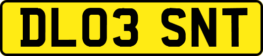 DL03SNT